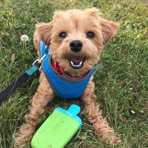 Meet your Posher, Sue